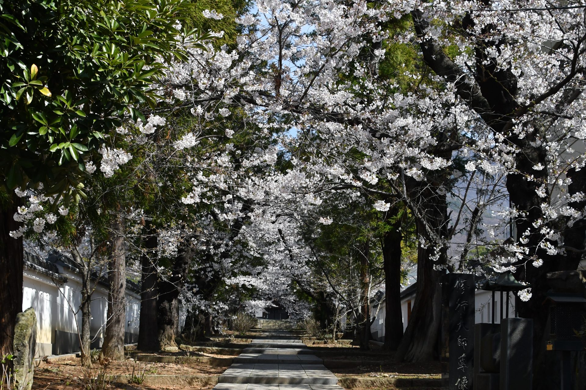 海禅寺