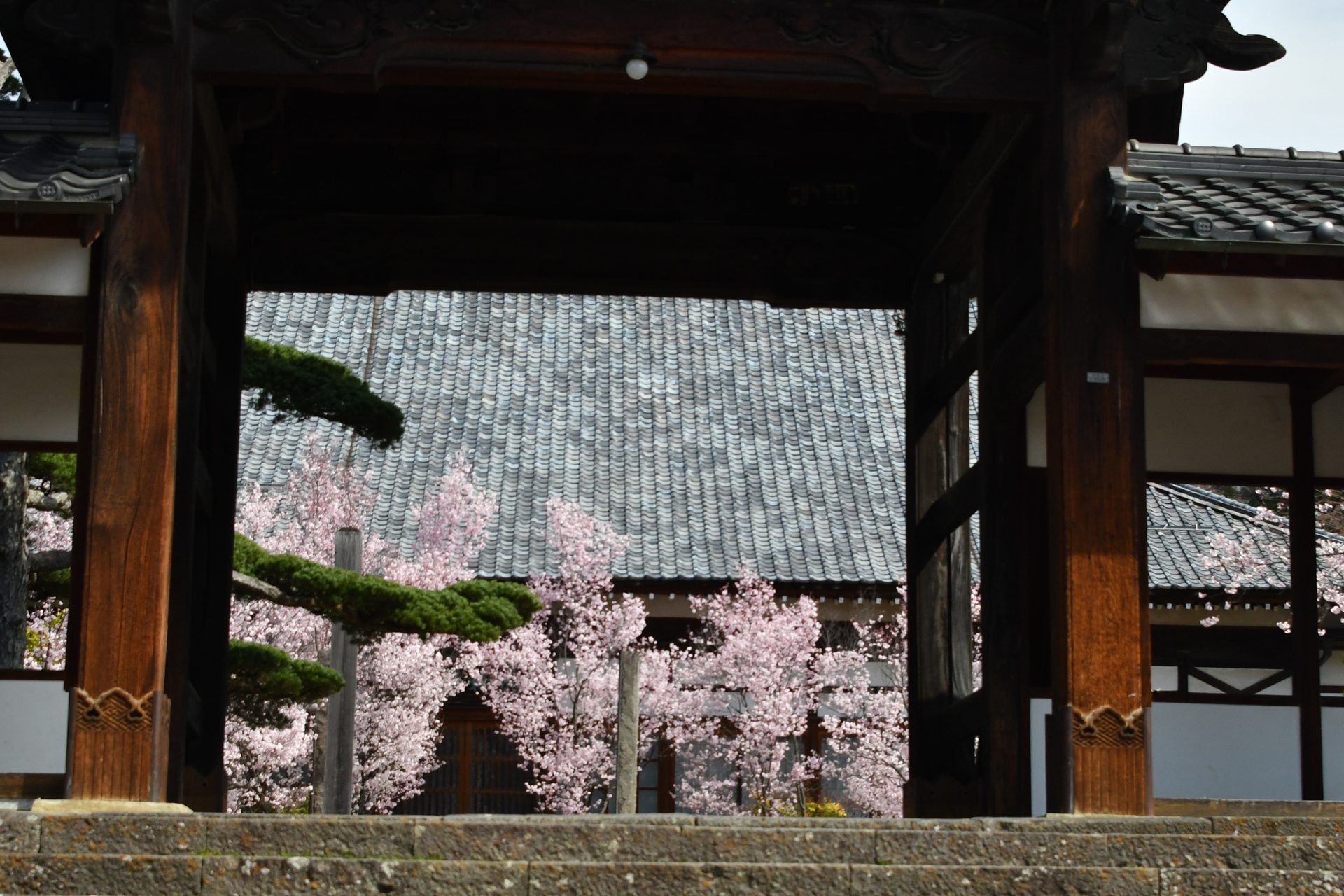 大輪寺