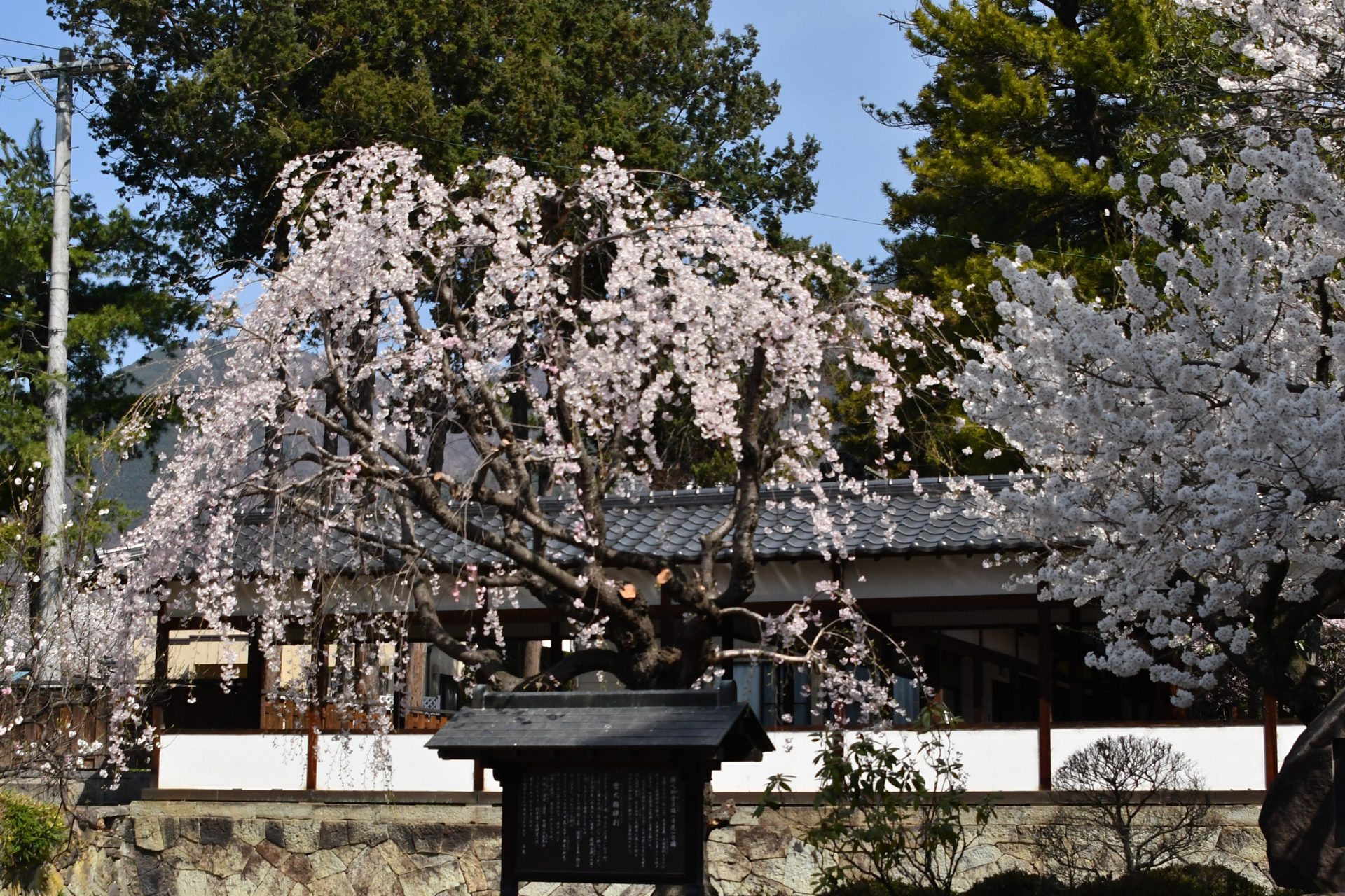 大輪寺