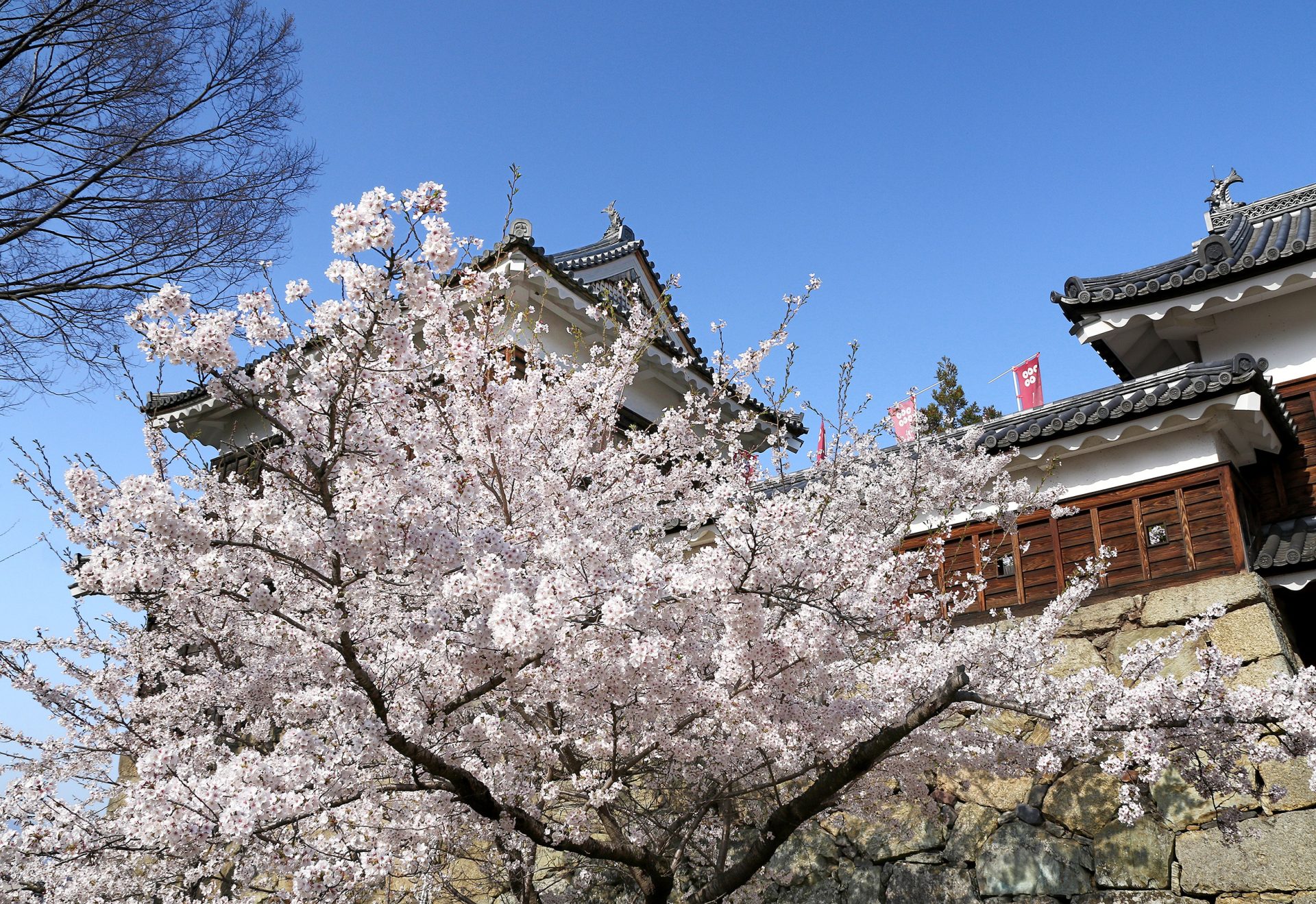 上田城10