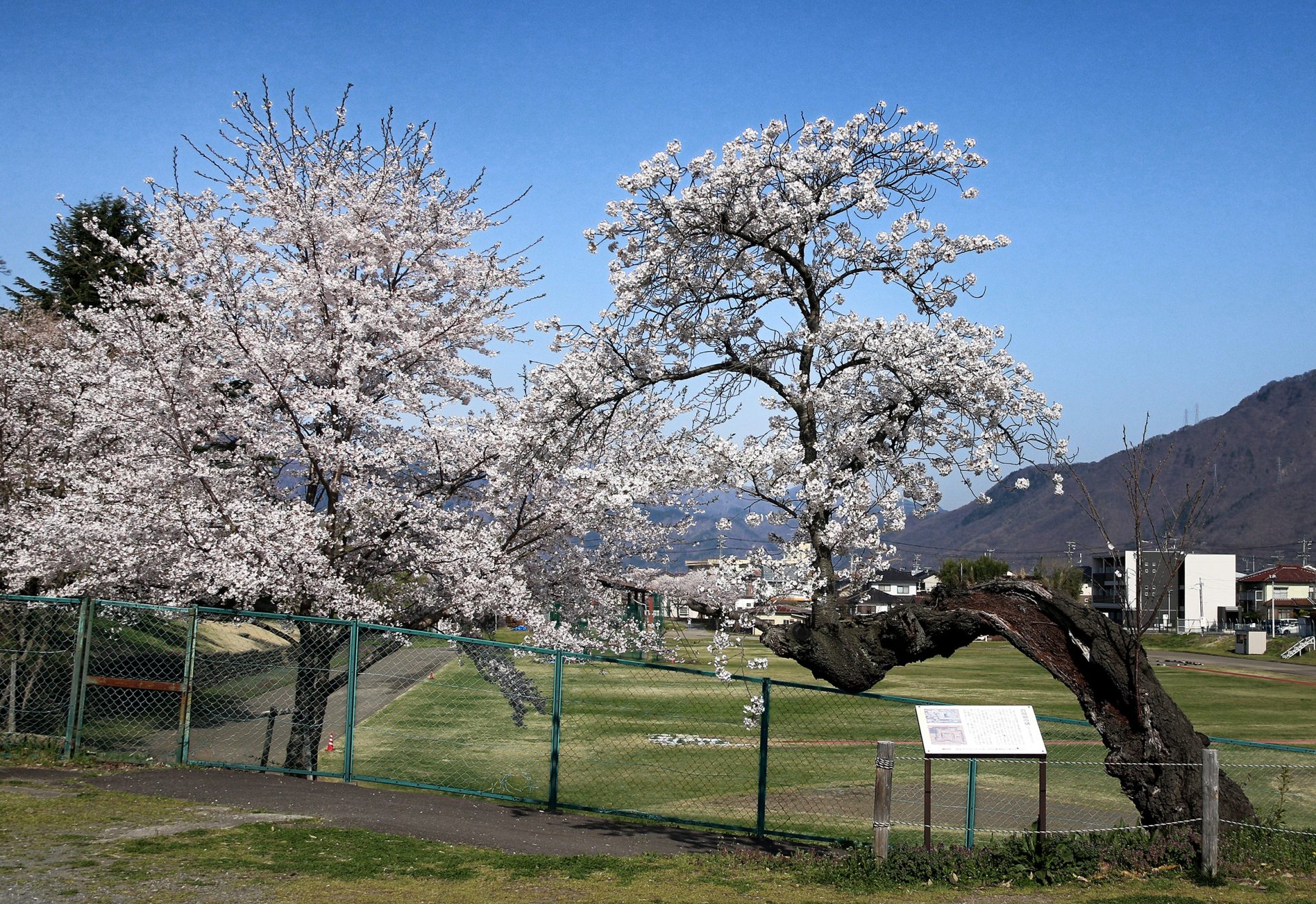 上田城12