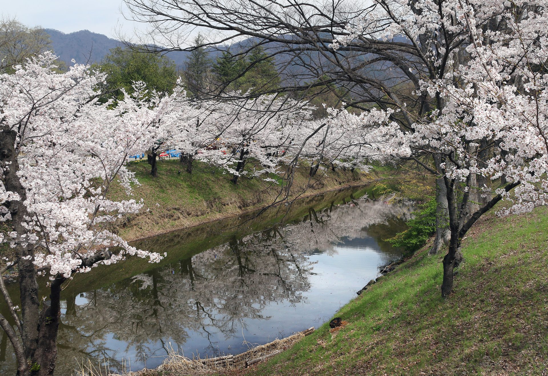 上田城5