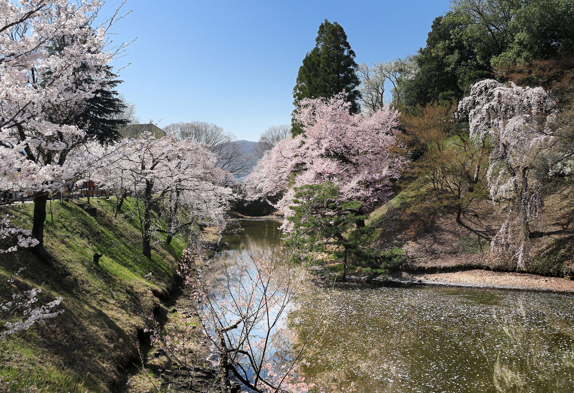 上田城6