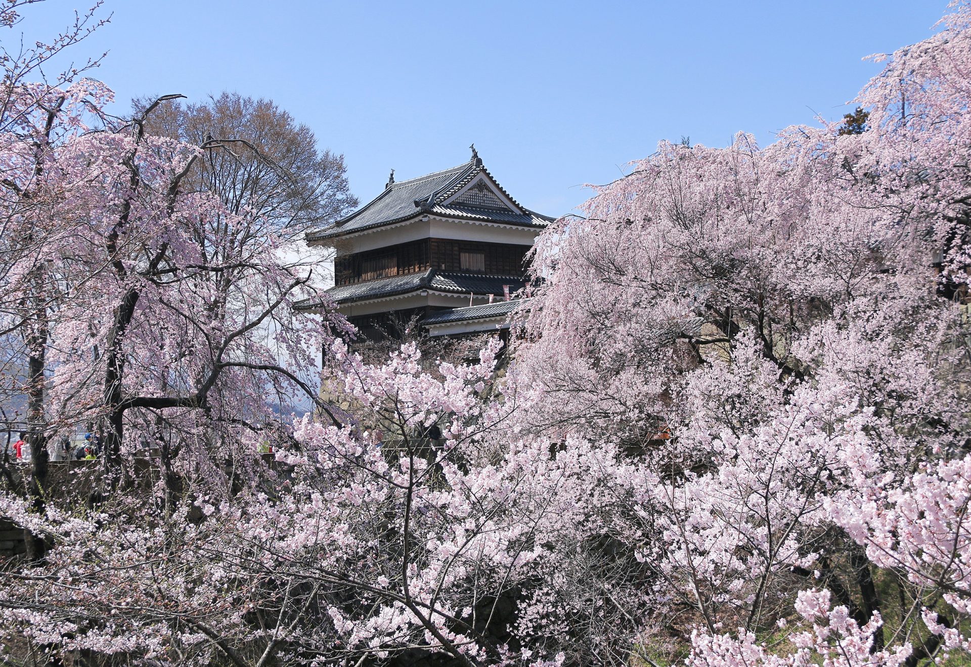 上田城7