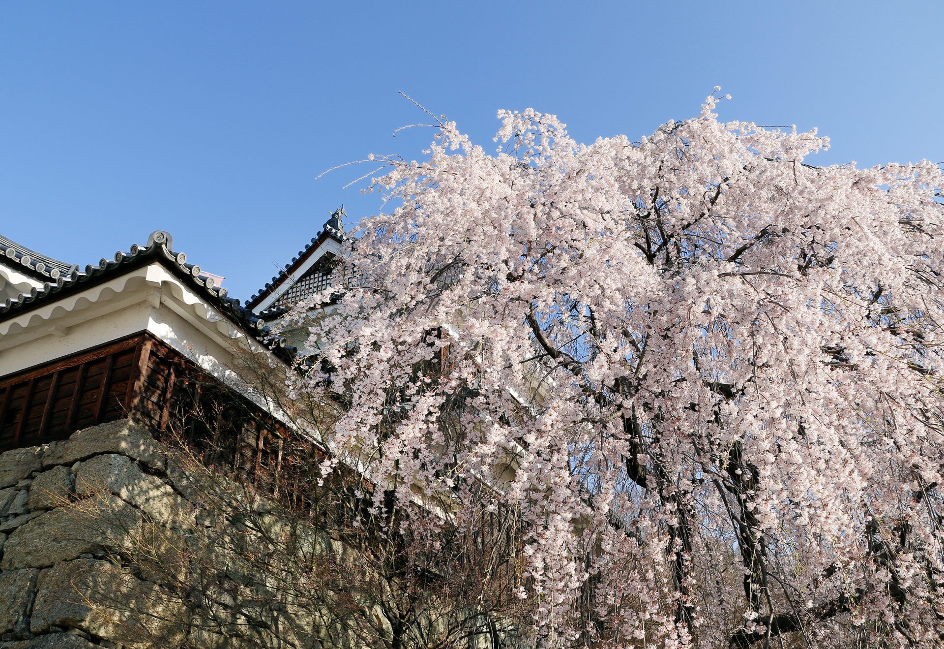 上田城8