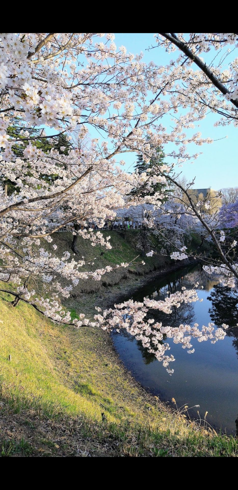 お堀／上田城