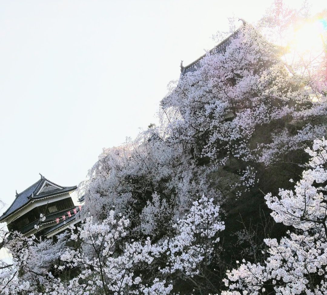 光／上田城