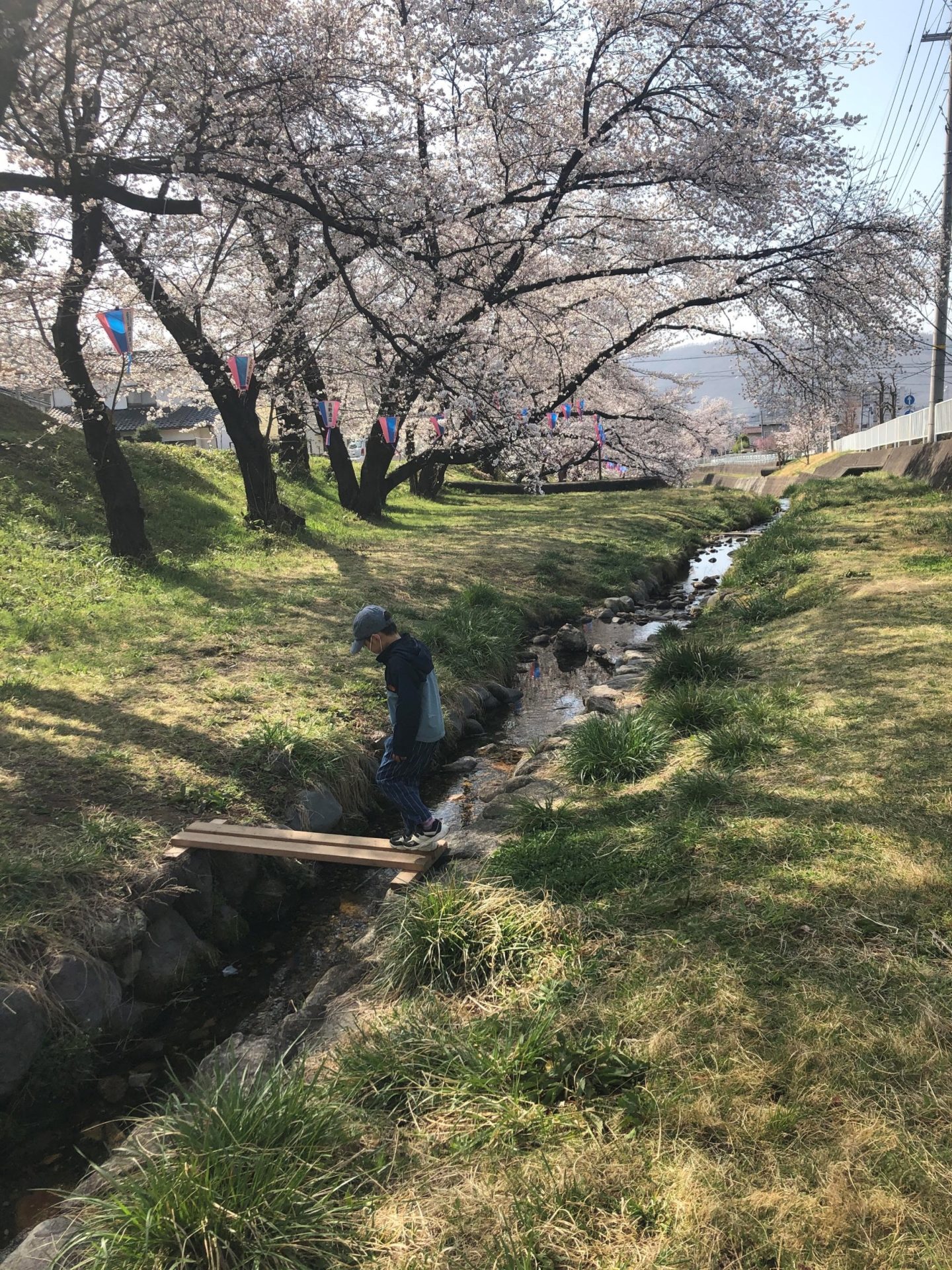 黄金沢川
